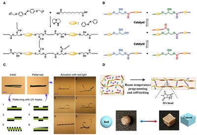 Reconfigurable and Recyclable Photoactuators Based on Azobenzene-Containing Polymers